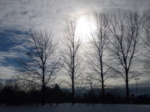 P1020760