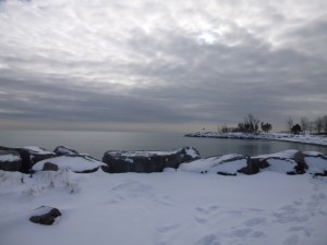 P1020788