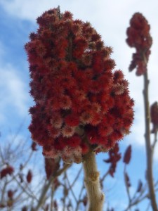 P1020792